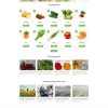 Theme wordpress nông sản 3 3 Nongsan3.mauthemewp.com 1 Scaled 1.jpg