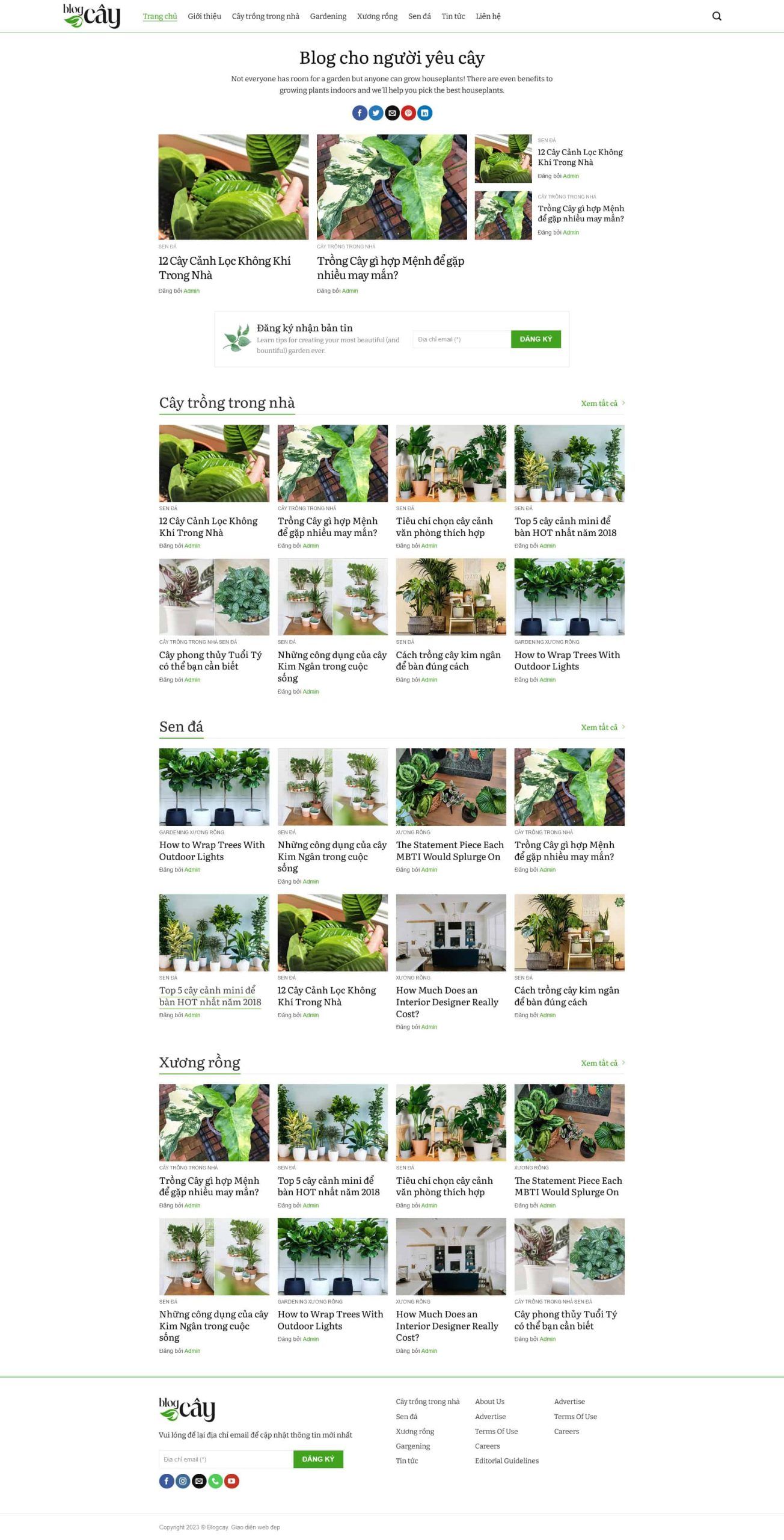 Theme wordpress blog về cây xanh 1 Tintuc12.mauthemewp.com Scaled 1.jpg