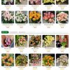shophoa5.mauthemewp.com scaled 1