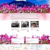 xkld6.mauthemewp.com